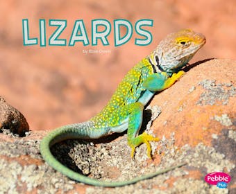 Lizards - undefined