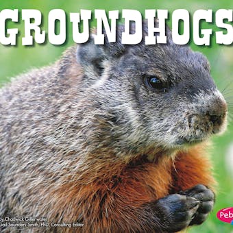 Groundhogs - undefined