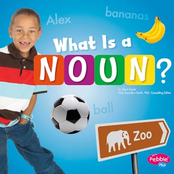 What Is a Noun? - undefined
