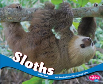 Sloths - undefined