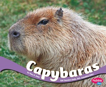 Capybaras - undefined
