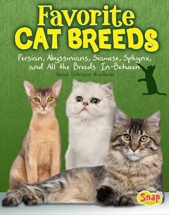 Favorite Cat Breeds: Persians, Abyssinians, Siamese, Sphynx, and all the Breeds In-Between - undefined