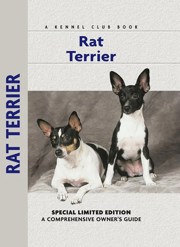 Rat Terrier : A Comprehensive Owner's Guide