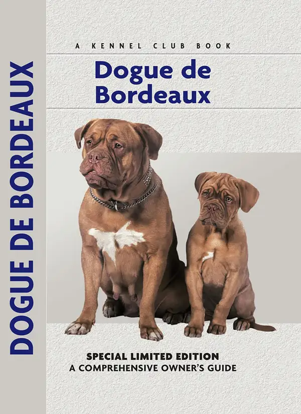 Dogue De Bordeaux : A Comprehensive Owner's Guide