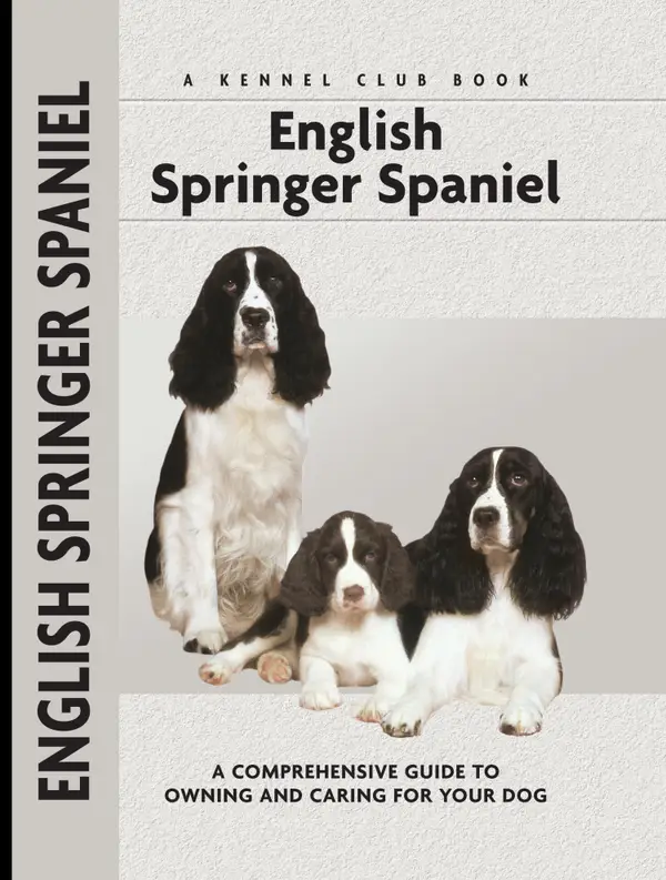 English Springer Spaniel : A Comprehensive Guide to Owning and Caring for Your Dog
