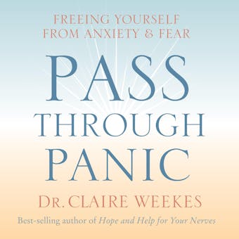 Pass Through Panic: Freeing Yourself from Anxiety and Fear - undefined