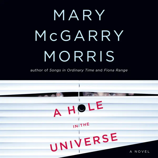 A Hole in the Universe