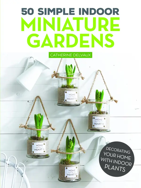 50 Simple Indoor Miniature Gardens : Decorating Your Home with Indoor Plants