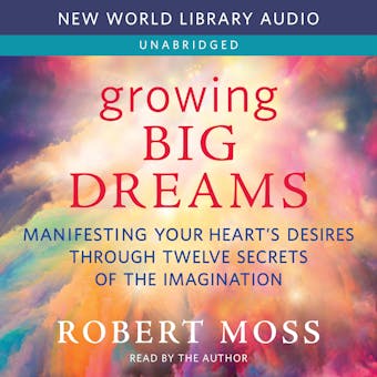 Growing Big Dreams: Manifesting Your Heart’s Desires through Twelve Secrets of the Imagination - Robert Moss