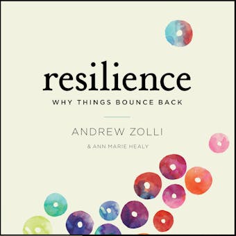 Resilience: Why Things Bounce Back - undefined