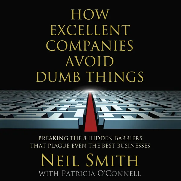How Excellent Companies Avoid Dumb Things : Breaking the 8 Hidden Barriers that Plague Even the Best Businesses