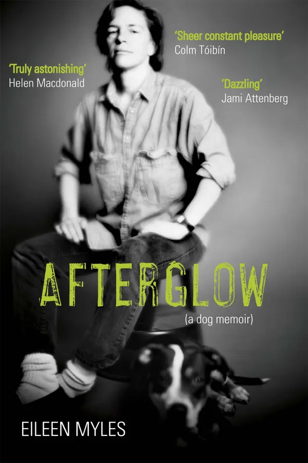 Afterglow : A Dog Memoir