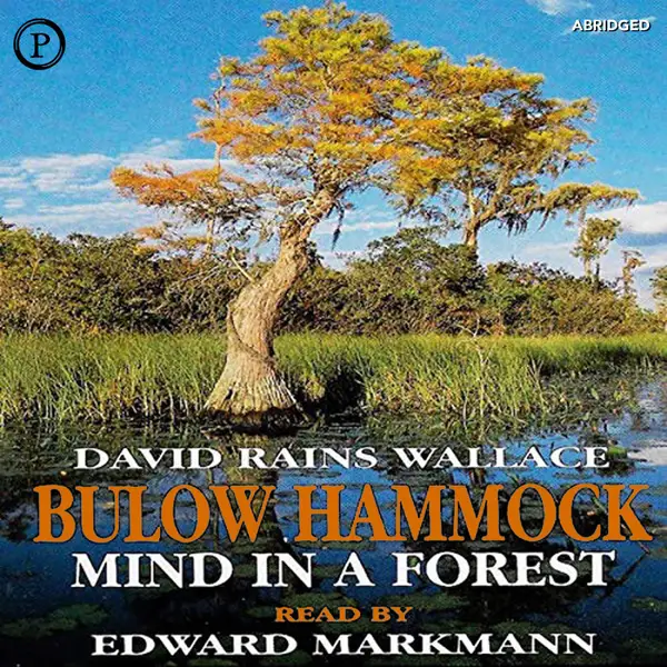 Bulow Hammock : Mind in a Forest