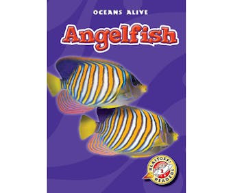 Angelfish - undefined