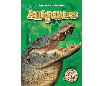 Alligators - undefined