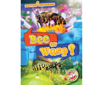 Bee or Wasp? - undefined