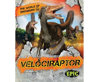 Velociraptor - undefined
