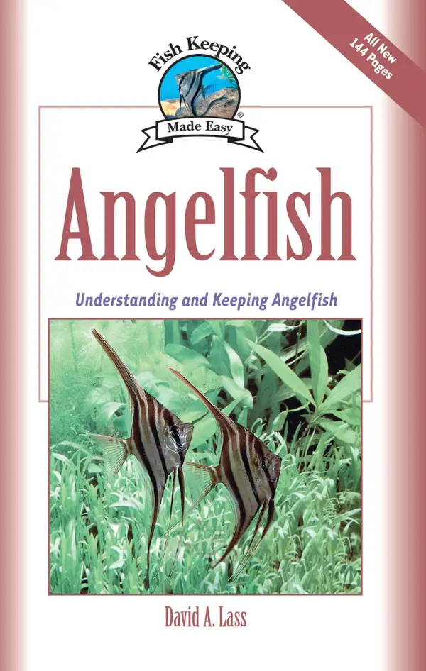 Angelfish : Understanding and Keeping Angelfish