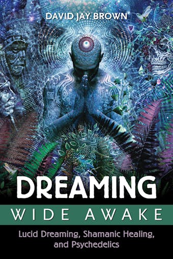 Dreaming Wide Awake: Lucid Dreaming, Shamanic Healing, and Psychedelics - David Jay Brown