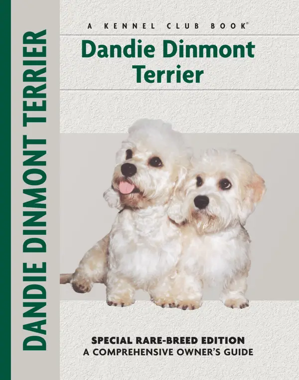 Dandie Dinmont Terrier