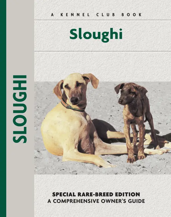 Sloughi : A Comprehensive Owner's Guide