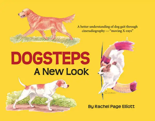 Dogsteps : A New Look