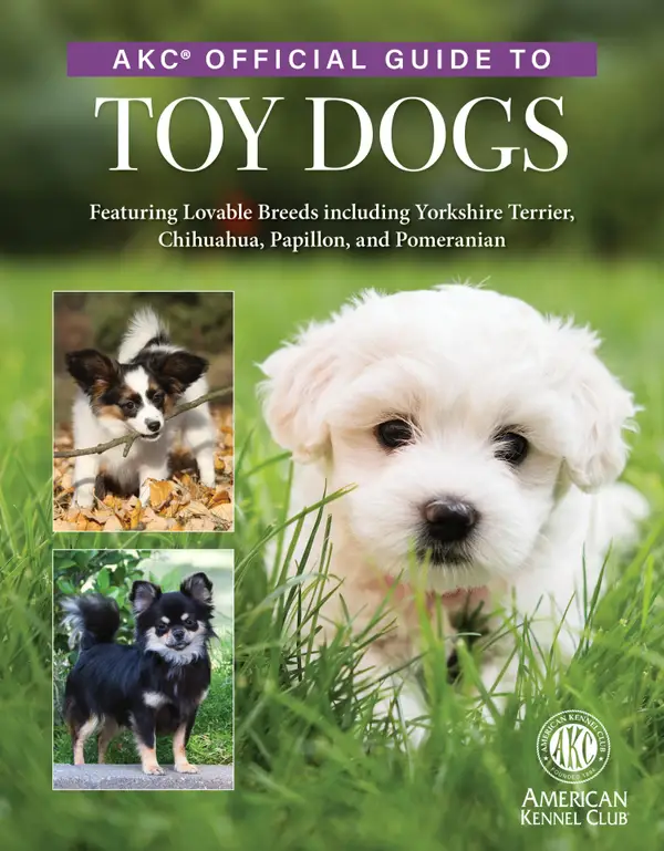 AKC Official Guide to Toy Dogs : Featuring Lovable Breeds including Yorkshire Terrier, Chihuahua, Papillon, and Pomeranian