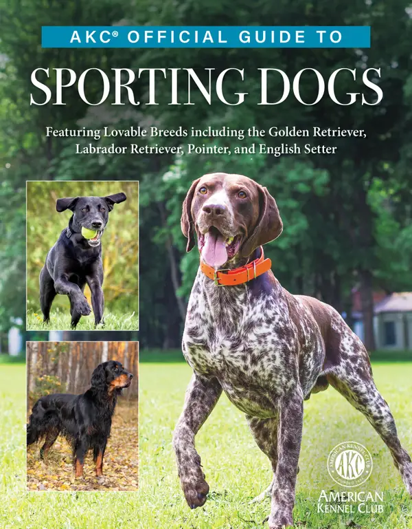 AKC Official Guide to Sporting Dogs : Featuring Lovable Breeds including the Golden Retriever, Labrador Retriever, Pointer, and English Setter