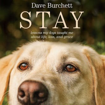 Stay: Lessons My Dogs Taught Me About Life, Loss, and Grace - undefined