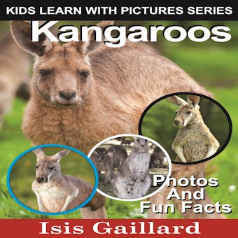 Kangaroos: Photos and Fun Facts for Kids - undefined