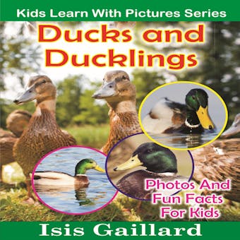 Ducks and Ducklings: Photos and Fun Facts for Kids - undefined