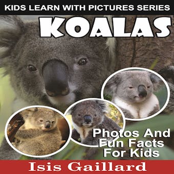 Koalas: Photos and Fun Facts for Kids - undefined