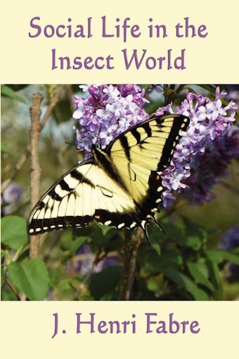 Social Life in the Insect World - undefined