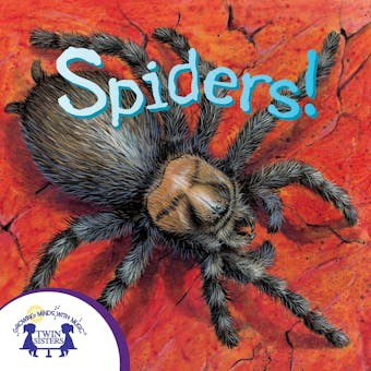 Know-It-Alls! Spiders - Christopher Nicholas