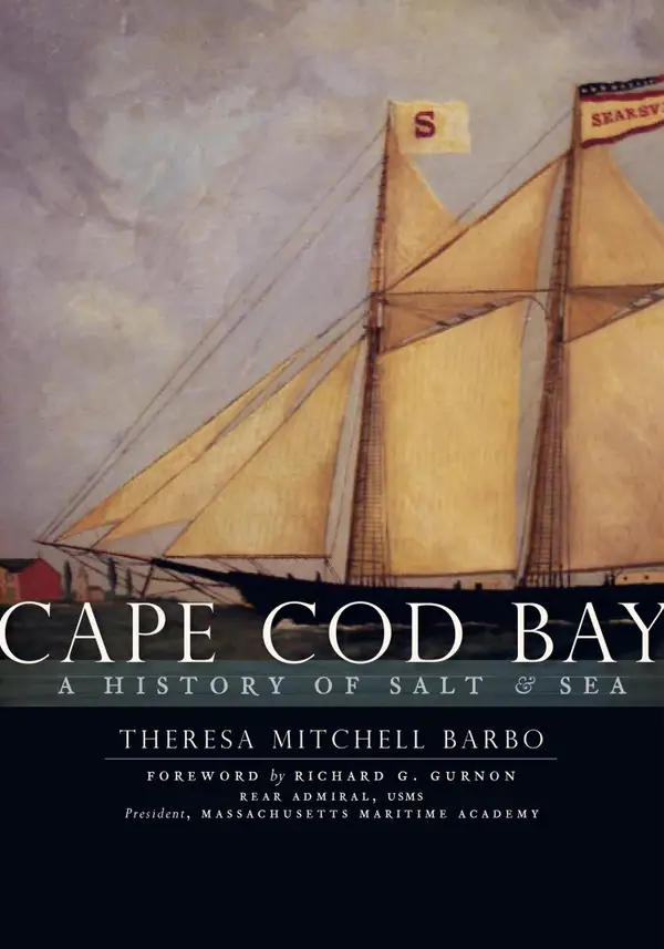 Cape Cod Bay : A History of Salt and Sea