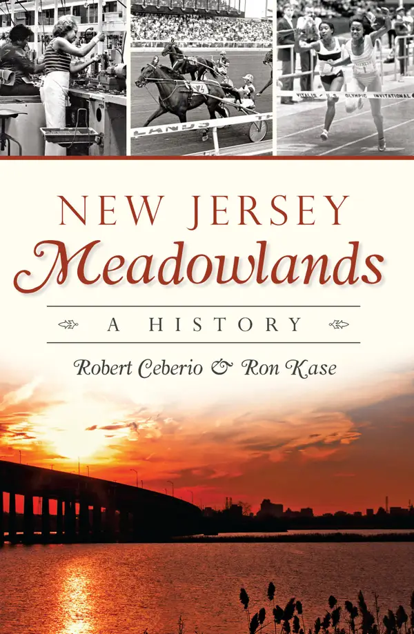 New Jersey Meadowlands : A History