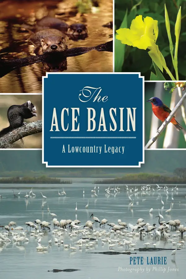 The ACE Basin: A Lowcountry Legacy