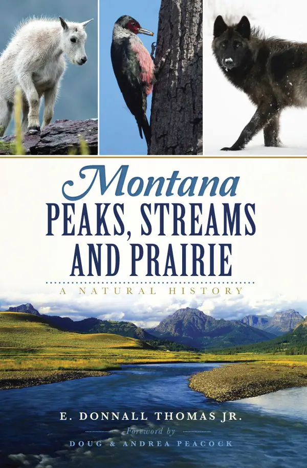 Montana Peaks, Streams and Prairie : A Natural History