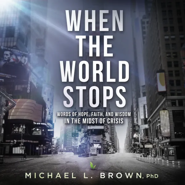 When the World Stops : Fight Your Spiritual Battles From the Winning Side