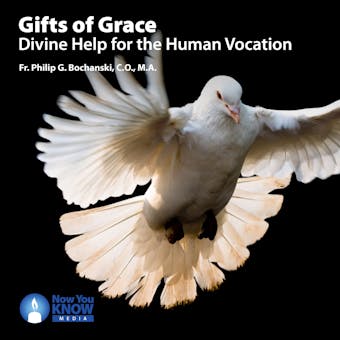 Gifts of Grace: Divine Help for the Human Vocation - Philip G. Bochanski