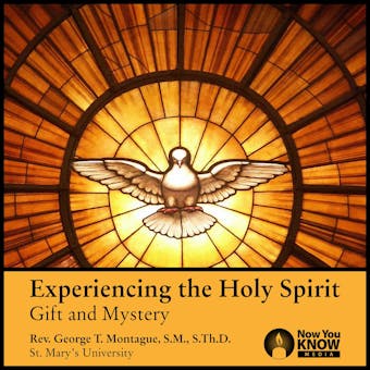 Experiencing the Holy Spirit: Gift and Mystery - undefined