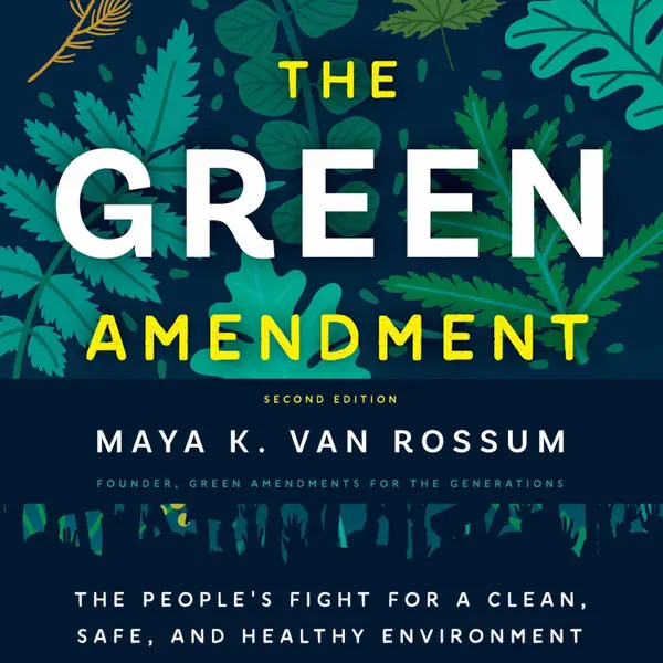 The Green Amendment : The People's Fight for a Clean, Safe, and Healthy Environment