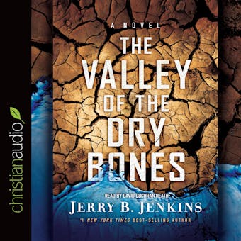 The Valley of the Dry Bones: An End Times Novel - Jerry B. Jenkins