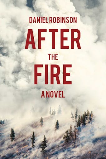 After the Fire: A Novel