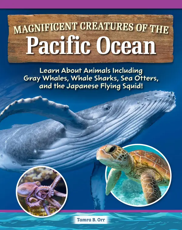Magnificent Creatures of the Pacific Ocean : Learn About Animals Including Gray Whales, Whale Sharks, Sea Otters, and the Japanese Flying Squid!