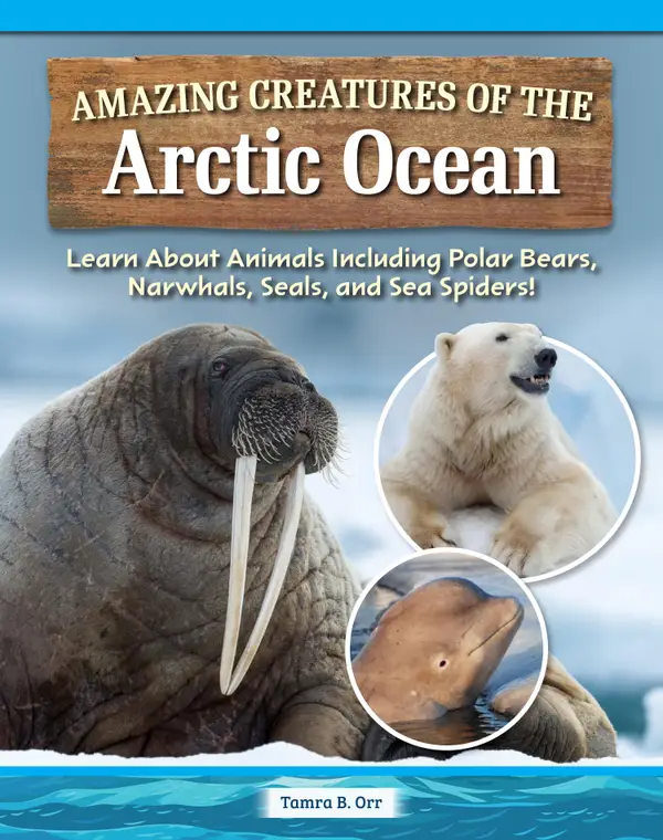 Amazing Creatures of the Arctic Ocean : Learn About Animals Including Polar Bears, Narwhals, Seals, and Sea Spiders!