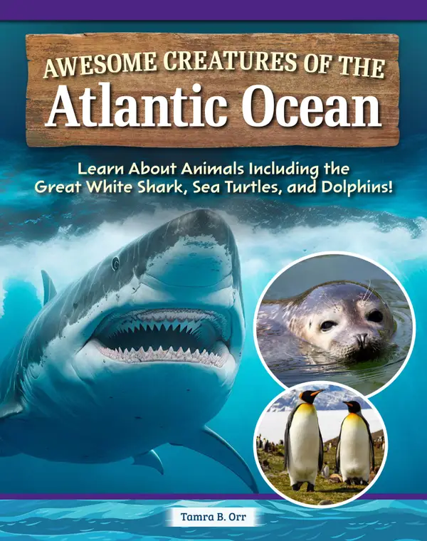 Awesome Creatures of the Atlantic Ocean : Learn About Animals Including the Great White Shark, Sea Turtles, and Dolphins!