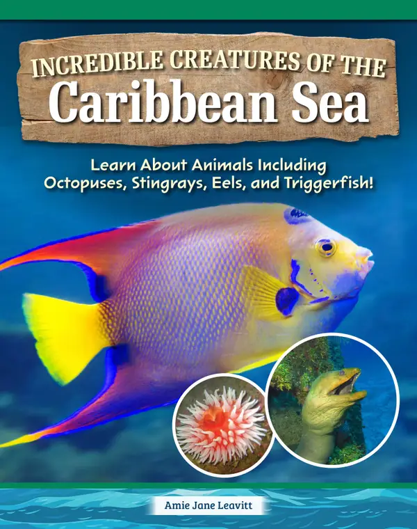 Incredible Creatures of the Caribbean Sea : Learn About Animals Including Octopuses, Stingrays, Eels, and Triggerfish!