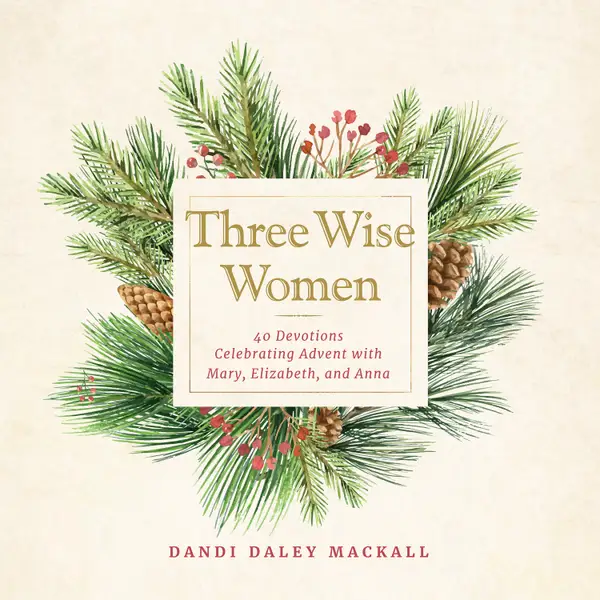 Three Wise Women : 40 Devotions Celebrating Advent with Mary, Elizabeth, and Anna