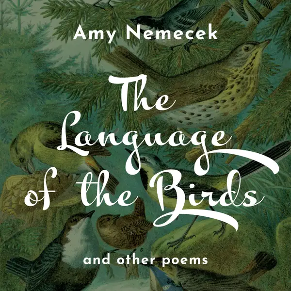 The Language of the Birds : Poems